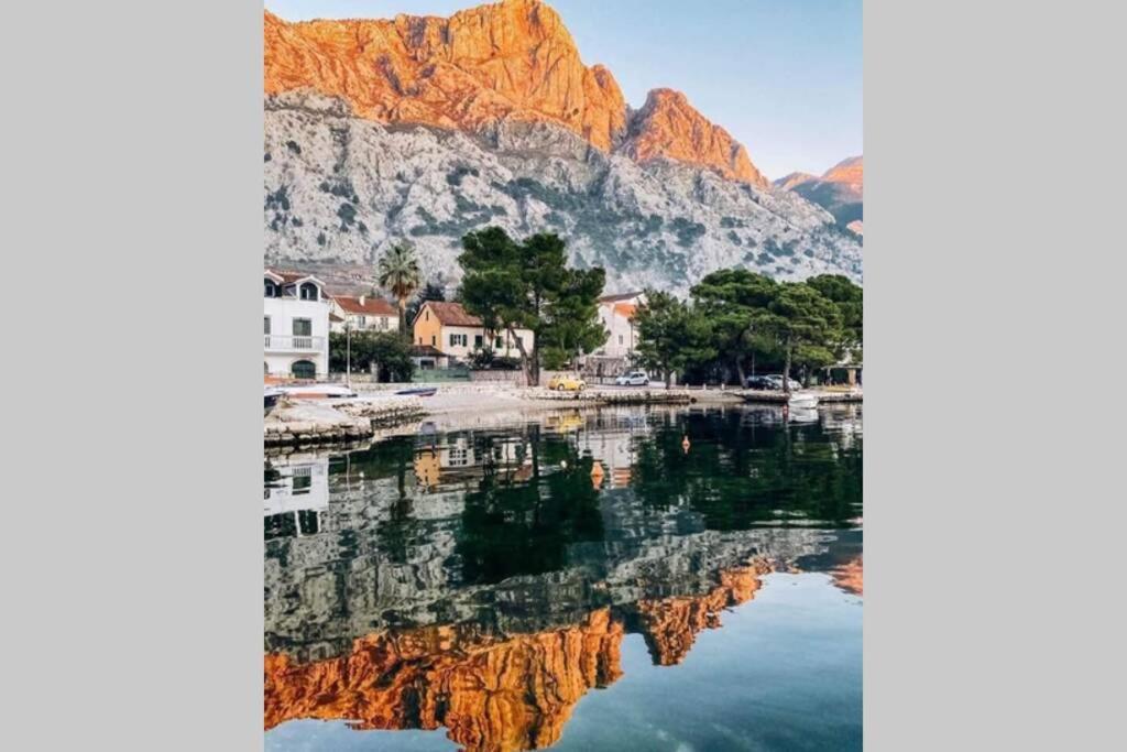 Garden Apartment- Near Sea 2 Ντόμπροτα Εξωτερικό φωτογραφία
